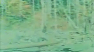 Bigfoot - Mitch Hedberg