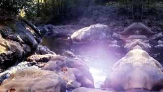 Medwyn Goodall - -  Awakening From The Dream