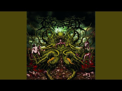 Video thumbnail for Anal Evisceration