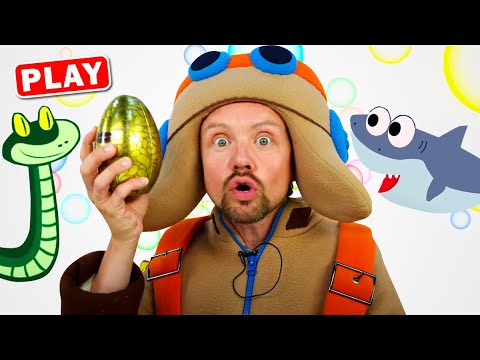KyKyPlay - История Яйца - Акулы, Крокодилы и Змеи - Познавательные истории