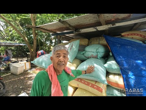 EP787-P2 - Paani ng Palay ni Tatang | Occ. Mindoro