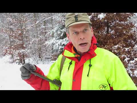 Jagd auf dem Truppenübungsplatz BR Abendschau Der Süden