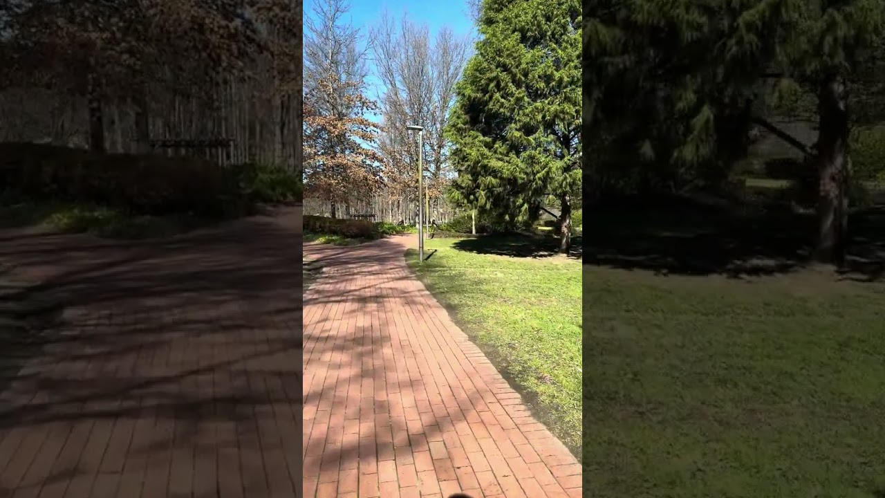 YouTube Short thumbnail