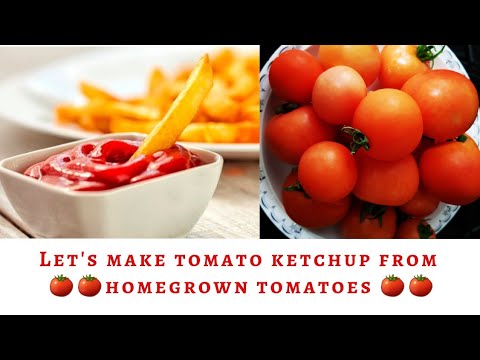 What to do with green tomatoes? learn how to make tomato ketchup using homegrown tomatoes