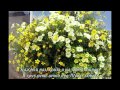 Аллилуйя (Церковь Источник Жизни) 