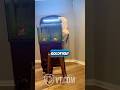 Cat Jumps In Fish Tank To Catch Goldfish And Instantly Regrets It