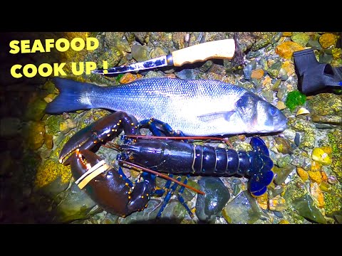 EPIC SEAFOOD COOK UP ! Foraged Big Lobster , Countless Bass ! And More - COASTAL FORAGING at Night