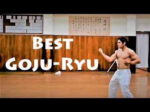 BEST GOJU RYU - Kenjutsu Master Metin Kayar in Jundokan School, OKINAWA