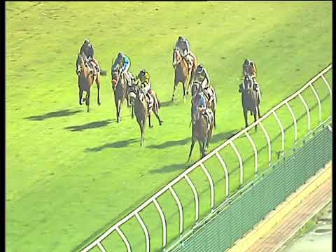 Galoppo 22/03/2018 - 6ª corsa