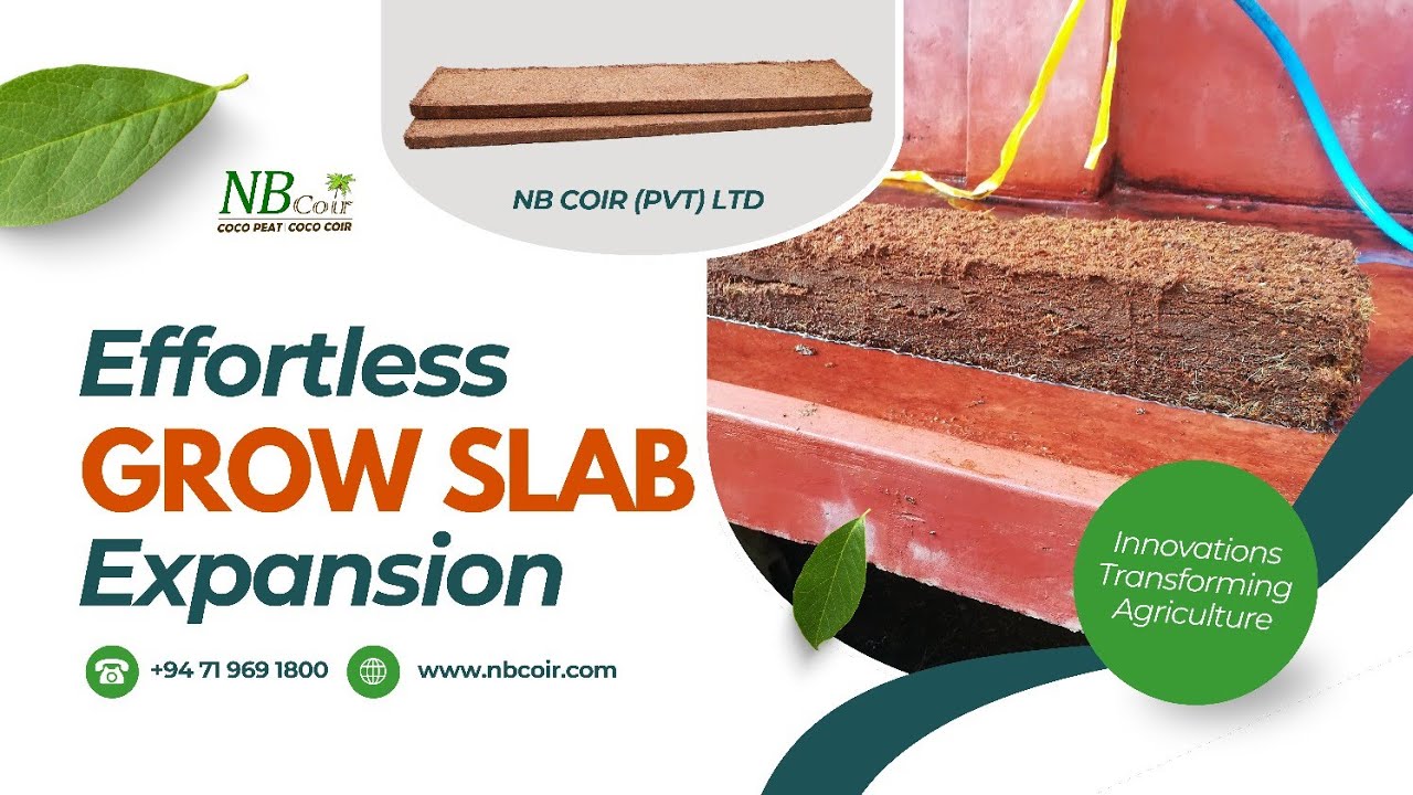 Master the Grow Slab Expansion Process | NB COIR