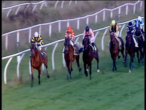 Galoppo 16/12/2018 - 3ª corsa