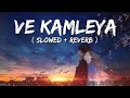 Aadha Tera Ishq Aadha Mera Lyrics Arijit Singh Ranbir Rashmika Animal Shreyas P Satranga