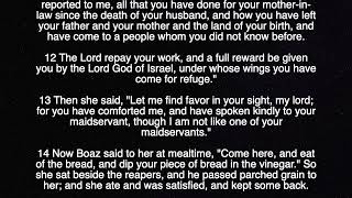 Ruth 2 - English l Audio & Scripture l NKJV