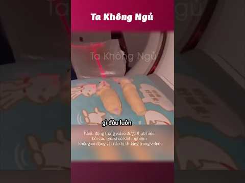 Khi động vật đi chụp CT 🩻 #takhongngu