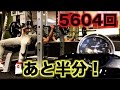 5604回のベンチプレスも残り半分になりました!!
