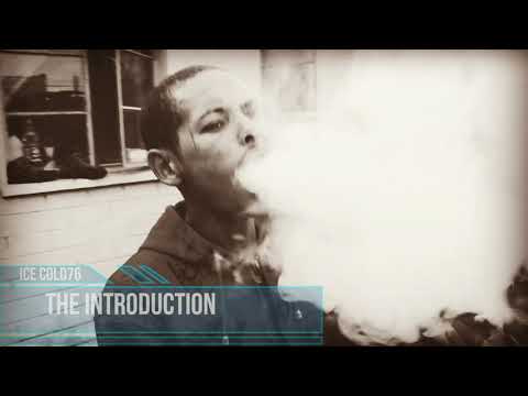 THE INTRODUCTION (unofficial music video)