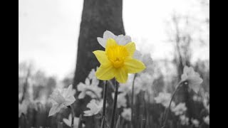 Jennifer Lopez - (Can&#39;t Believe) This Is Me (lyrics)