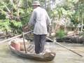 Roll Roll Roll The Boat