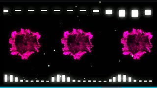 Download lagu Audio Spectrum Visualizer Green Screen HD | Avee Player Template | #237 mp3 Download lagu Audio Spectrum Visualizer Green Screen HD | Avee Player Template | #237 mp3