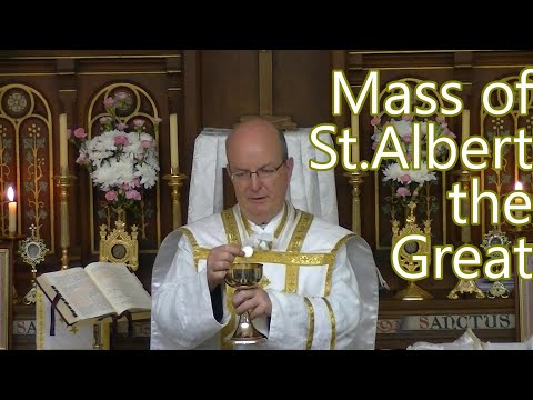 2022.11.15 St Albert the Great🙏 Mass 🔔 #TraditionalCatholic 🔔