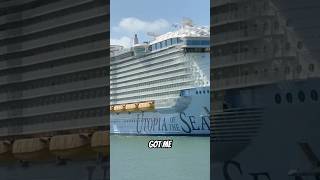 Massive Cruise Ship Horn Scared Me!