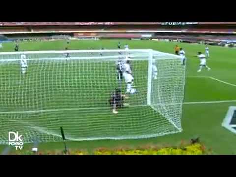 Gols - São Paulo 1 x 2 Botafogo - Brasileiro 2010