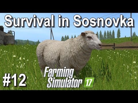 LS17: Survival in Sosnovka #12 - Let's Play - Mehr Schafe - [deutsch]