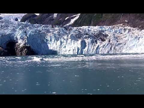 Nap's Alaska,Prince William Sound Glacier trip Aug.2017