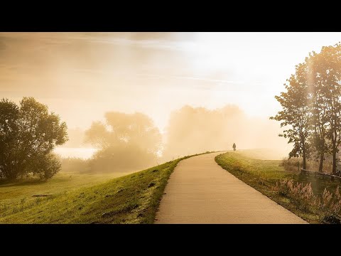 Rastafair x Sansasmody - Eyslay [Original Mix] videoclip