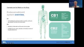 Cannabinoid Care in Integrative Oncology