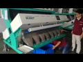 Webest Color Sorter Sesame Video Whatsapp 86 152 1560 5300 Anna Bestsorter Com
