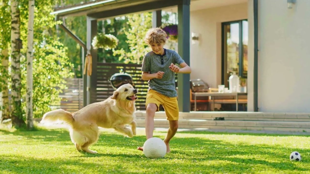 Keep Your Pets & Kids Secure with Carter Fence