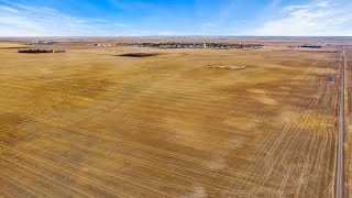 13 Quarters High Quality Grainland With Yard Site Near Gravelbourg, SK (RM of Gravelbourg #104)