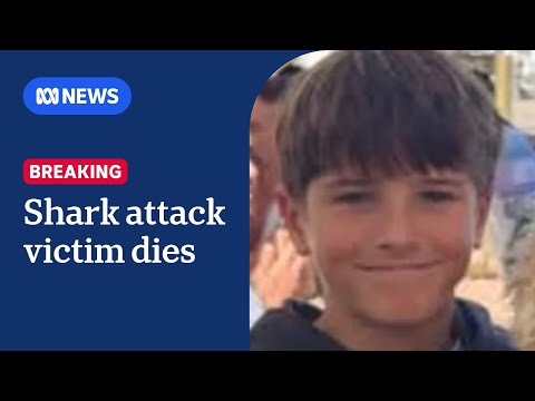 12yo shark attack victim Nico Antic dies in hospital | ABC NEWS