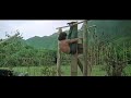 Jackie Chan Dangerous Kung Fu Training
