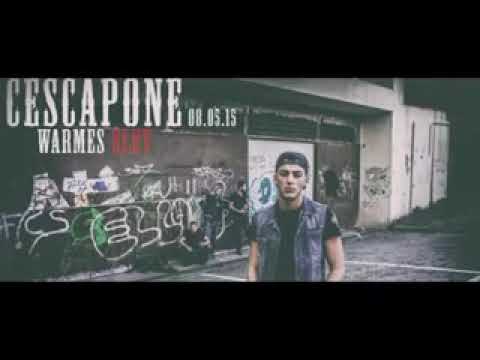 Cescapone warmes blut