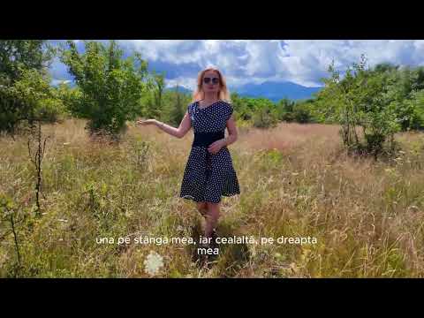 Video Teren extravilan de vânzare - Valea Avrigului, Sibiu
