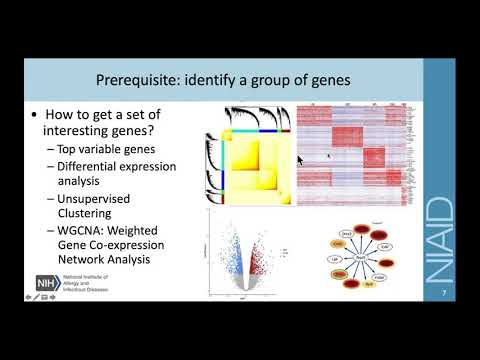 youtube video record