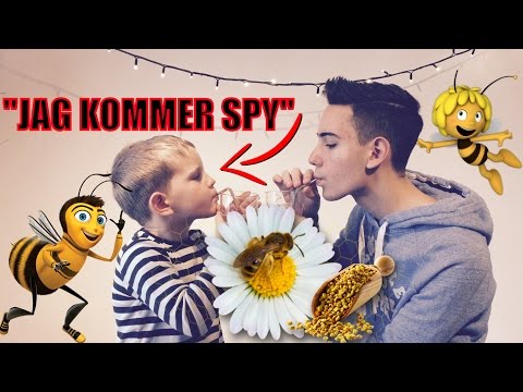 SMAKAR PÅ... | 5 SNACKS MED BIPOLLEN FT. PONTUS