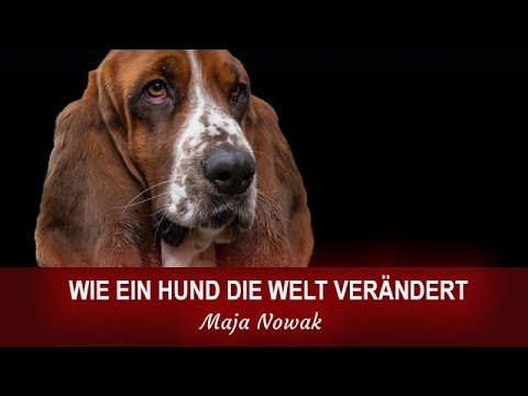 WIE EIN HUND DIE WELT VERÄNDERT - von Maja Nowak