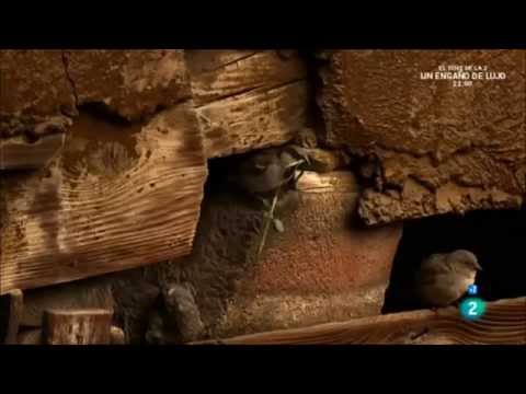 ¿Una bola viva en el mar? 🐍🌊