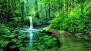 Download lagu ‼‼SUARA ALAM DURASI 3 JAM‼‼ mp3