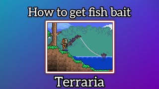 How to get fish bait in terraria: easy, quick guide!