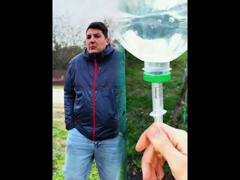 O minune chiar înainte de Crăciun#românia #română #crăciun #minune #sărbători #emoție #poveste