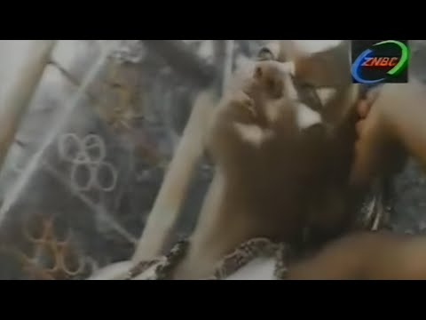 alice chuma - okondewa {official video}