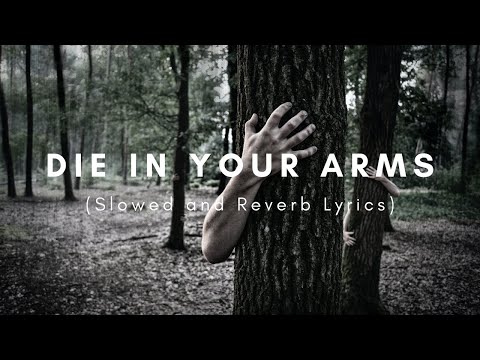 MVSE - DIE IN YOUR ARMS (Slowed + Reverb Lyrics)