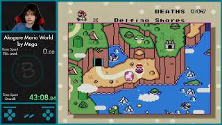 Such a Huge Variety of Level Themes - Akogare Mario World part 2