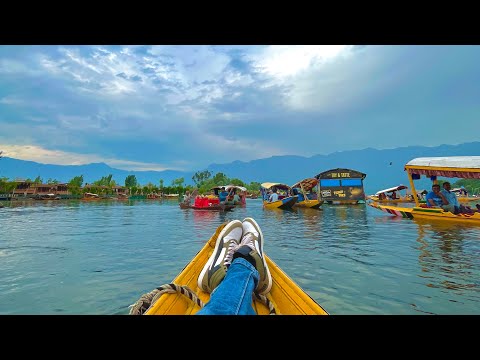Dal lake Beautiful vibes 😇                           Srinagar kashmir