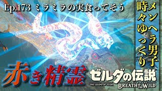 【DLC 英傑たちの詩】オルドラの角がパリピにw シリト・ゲオマの祠を攻略！ 英傑リーバルの詩 -Part173-【ゼルダの伝説BotW実況】【ブレスオブザワイルド 実況プレイ】
