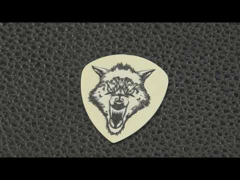 Summer NAMM 2019: DUNLOP - James Hetfield pick